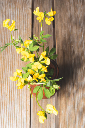 Bright colors of a hot summer. Summer field and meadow herbs and flowers on a wooden bench.
