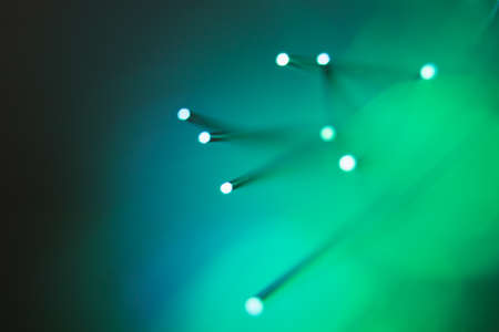 Fantastic fancy plants with colored branches with luminous dots at the ends.の写真素材