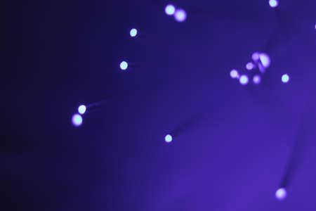 Abstract background. Fantastic fancy plants with colored branches with luminous dots at the ends. Lamp from a panicle of optical fibers on a dark background.の写真素材