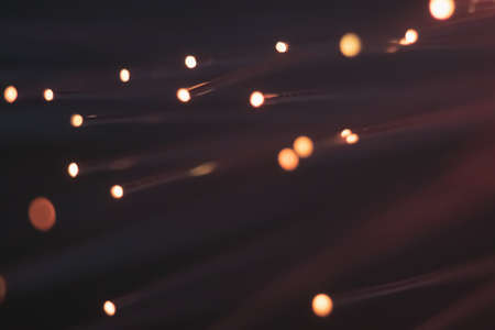 Abstract background. Fantastic fancy plants with colored branches with luminous dots at the ends. Lamp from a panicle of optical fibers on a dark background.の写真素材