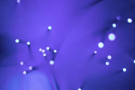 Fantastic fancy plants with colored branches with luminous dots at the ends.の写真素材