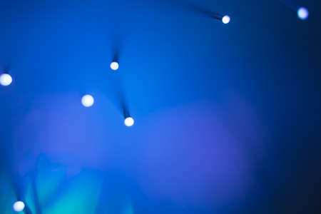 Abstract background. Fantastic fancy plants with colored branches with luminous dots at the ends. Lamp from a panicle of optical fibers on a dark background.の写真素材