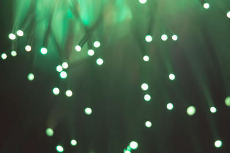 Fantastic fancy plants with colored branches with luminous dots at the ends.の写真素材