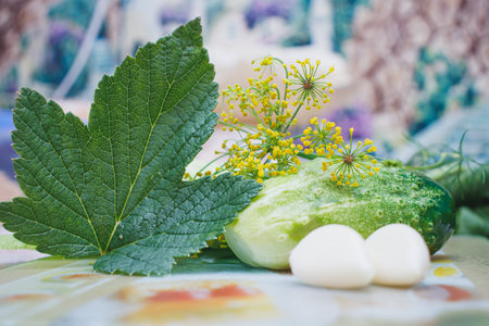 Gifts of a warm summer. Green crispy cucumbers close-up on the table. Cucumbers prepared for pickling. Delicious healthy food.の写真素材