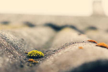 An old blackened slate roof covered with green moss. Roofing of an old village building.の写真素材