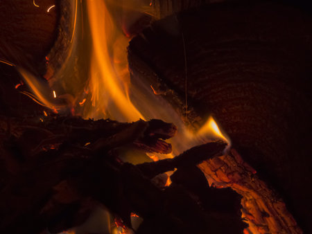 Primal bewitching magic of fire. Dance of orange flames on charred logs. Bonfire burning with...
