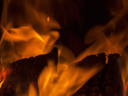 Primal bewitching magic of fire. Dance of orange flames on charred logs. Bonfire burning with...