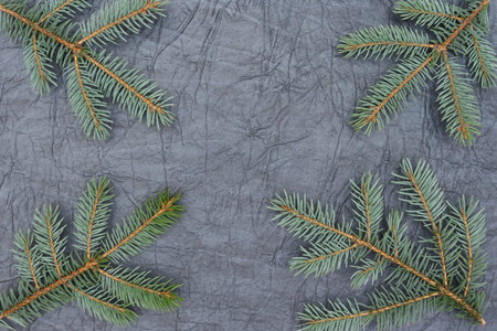 Merry christmas and a happy new year! A sprig of the green symbol of the winter holidays - spruce...