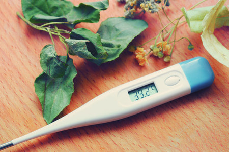 Medicinal plants are natural remedies for the fight against many diseases. Thermometer and dried...