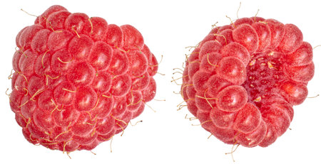 Natural picked berries with stamens and hairs on the surface.の写真素材