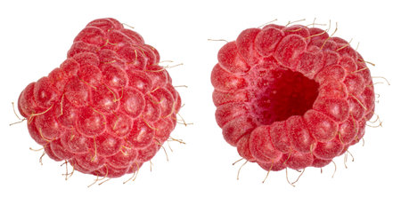 Natural picked berries with stamens and hairs on the surface.の写真素材