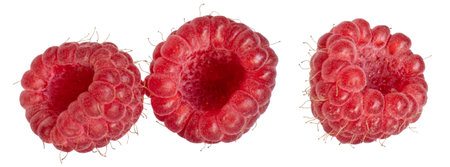 Natural picked berries with stamens and hairs on the surface.の写真素材