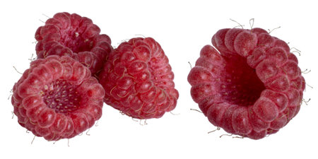Natural picked berries with stamens and hairs on the surface.の写真素材