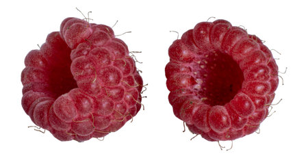 Natural picked berries with stamens and hairs on the surface.の写真素材