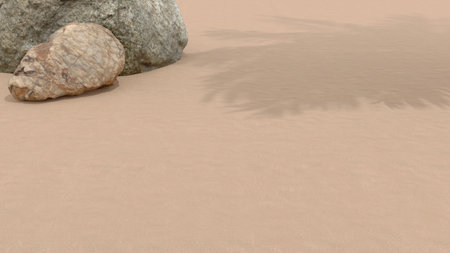 Yellow sand and stones, the shadow of a palm tree.の写真素材