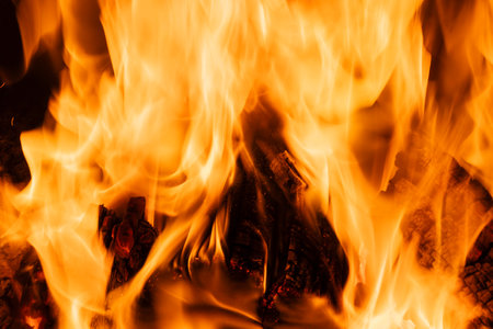 Raging orange flames of fire. Burning wood in the furnace. Bright flames devour the wood. Creative orange apocalyptic background. Exothermic reaction of wood substances with oxygen in the air.の写真素材