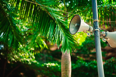 Speaker on a pole against the background of tropical trees.の写真素材
