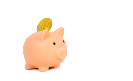 Bitcoin in a piggy bank on a white background. Concept on the topic of storing money in digital currencyの写真素材