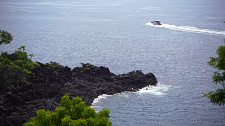 sea, sun and boat island life beauty palm treesの写真素材
