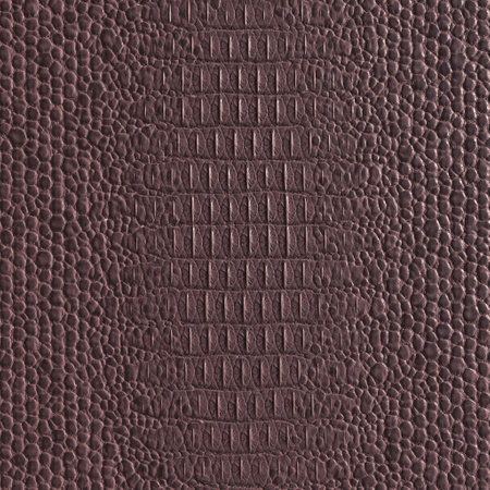 Genuine caiman leather. Brown crocodile skin texture for background. 3D-renderingの写真素材