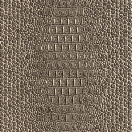 Genuine caiman leather. Brown crocodile skin texture for background. 3D-renderingの写真素材