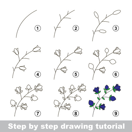 Step by step drawing tutorial. Vector kid game. How to draw a Bluebellのイラスト素材