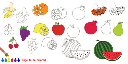 Fruit set. Big coloring book. Colorless and colorful set in vector.のイラスト素材