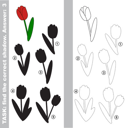 Tulip with different shadows to find the correct one. Compare and connect object with it true shadow.のイラスト素材