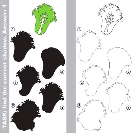 Salad Lettuce with different shadows to find the correct one, compare and connect object with it true shadow, the educational kid game with simple gaming level.のイラスト素材