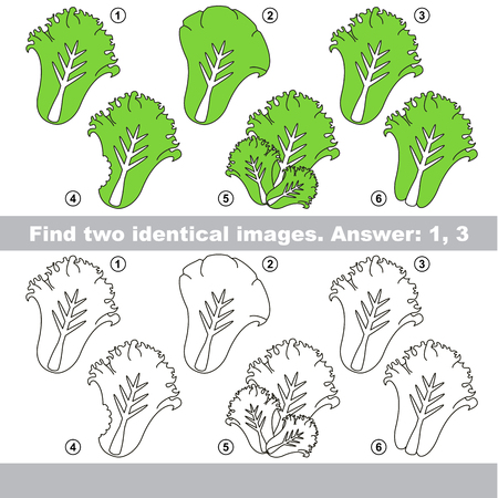 The educational kid matching game for preschool kids with easy gaming level, he task is to find similar objects, to compare items and find two same Salad Lettuceのイラスト素材