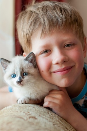 boy hugging white kitten with blue eyes in the roomの写真素材