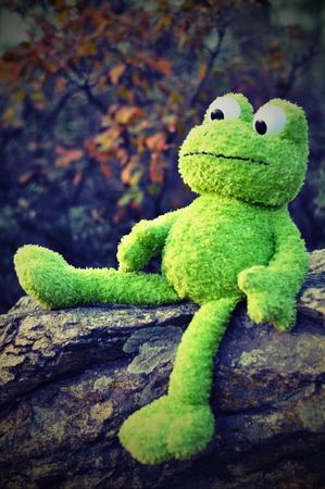 toy frog on the nature sits on a rockの写真素材