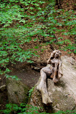 Mermaid of wood sitting on a rock in the forestの写真素材