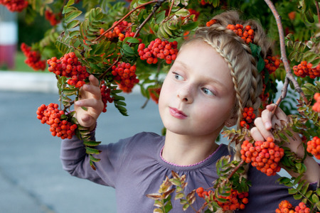 girl in nature with beautiful hairstyle with elements rowanの写真素材