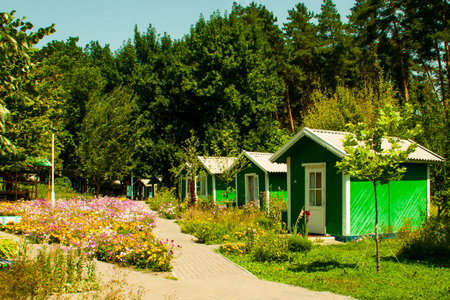 houses in a row on a clear summer dayの写真素材