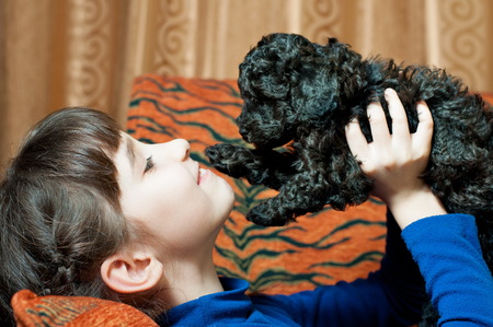 the girl with the black poodle puppy breed indoorsの写真素材