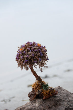 Dried flowers on a tree trunk.の写真素材