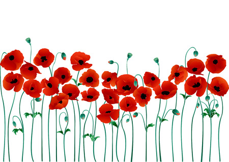 Poppiesのイラスト素材
