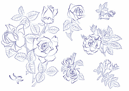Sketch of rosesのイラスト素材
