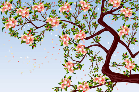 Vector illustration of  blooming apple treeのイラスト素材
