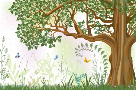 Vector iillustration of an oak tree in a meadowのイラスト素材