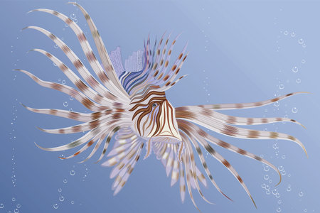 illustration of an exotic lion fish swimming underwaterのイラスト素材