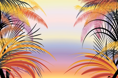 Background with silhouettes of tropical plantsのイラスト素材