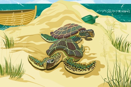 Sea turtles on the beachのイラスト素材