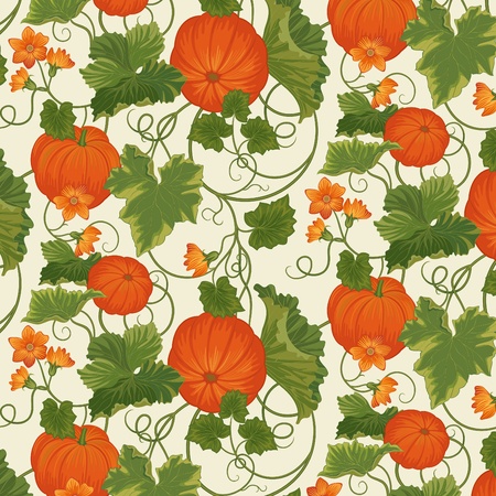 Vegetable background with pumpkins among leaves のイラスト素材