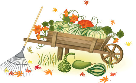 Handcart with heap of pumpkins - each pumpkin is very detailed and separate objectのイラスト素材