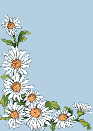 Floral corner from chamomile plant on blue background. Stroke is on a separate layer and can be removed then the flowers look like painting.のイラスト素材