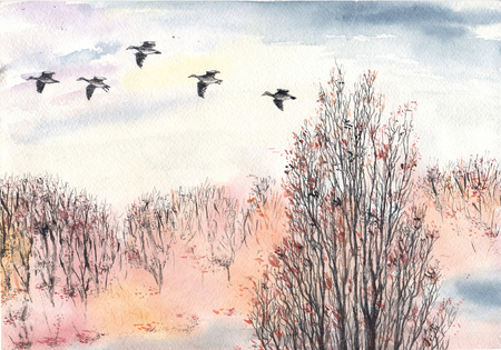 Watercolor, ink autumn with flying flock of birds and bare treesの写真素材