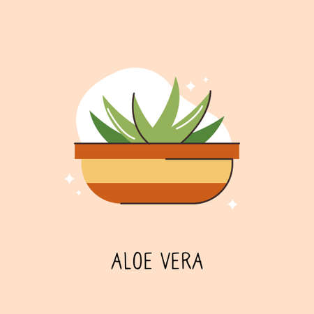 Vector object of flat color indoor plant. A flower in a container.のイラスト素材
