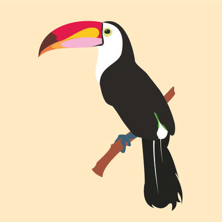 Vector image of a bright tropical Toucan bird on a floral background. tropical nature.のイラスト素材